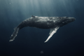 LEVIATHAN